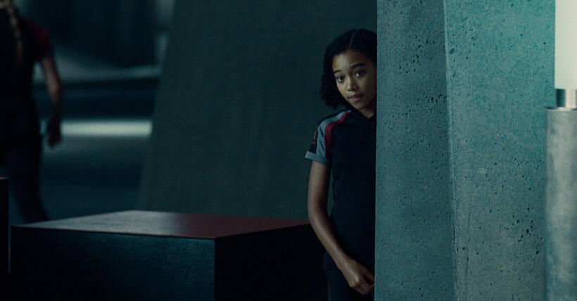 Amandla Stenberg stars as Rue.