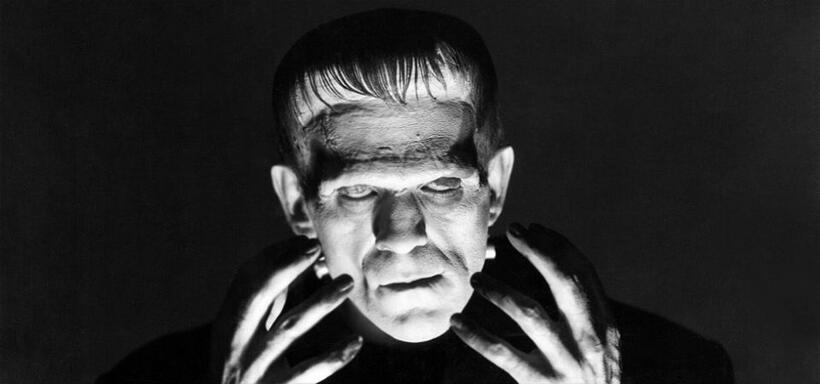 
	The Evolution of Frankenstein's Monster

