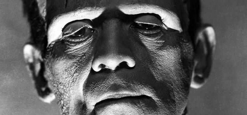 
	The Evolution of Frankenstein's Monster
