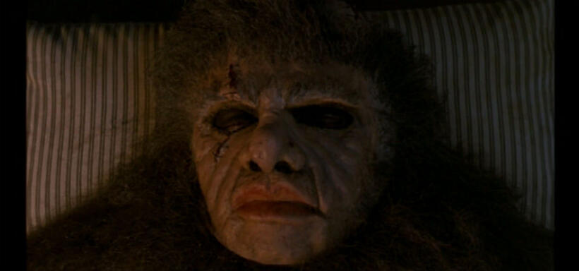 
	The Evolution of Frankenstein's Monster
