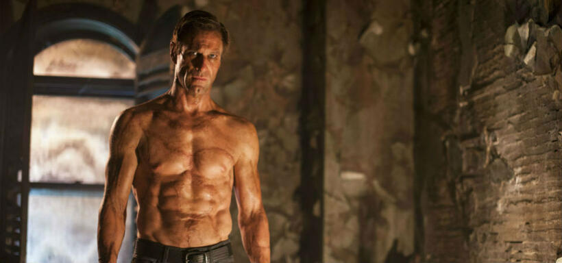
	The Evolution of Frankenstein's Monster
