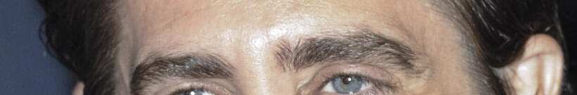 
	Whose Eyebrows Are These?
