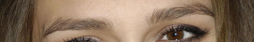 
	Whose Eyebrows Are These?
