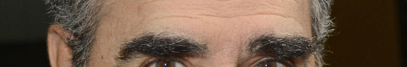 
	Whose Eyebrows Are These?
