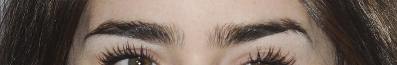 
	Whose Eyebrows Are These?
