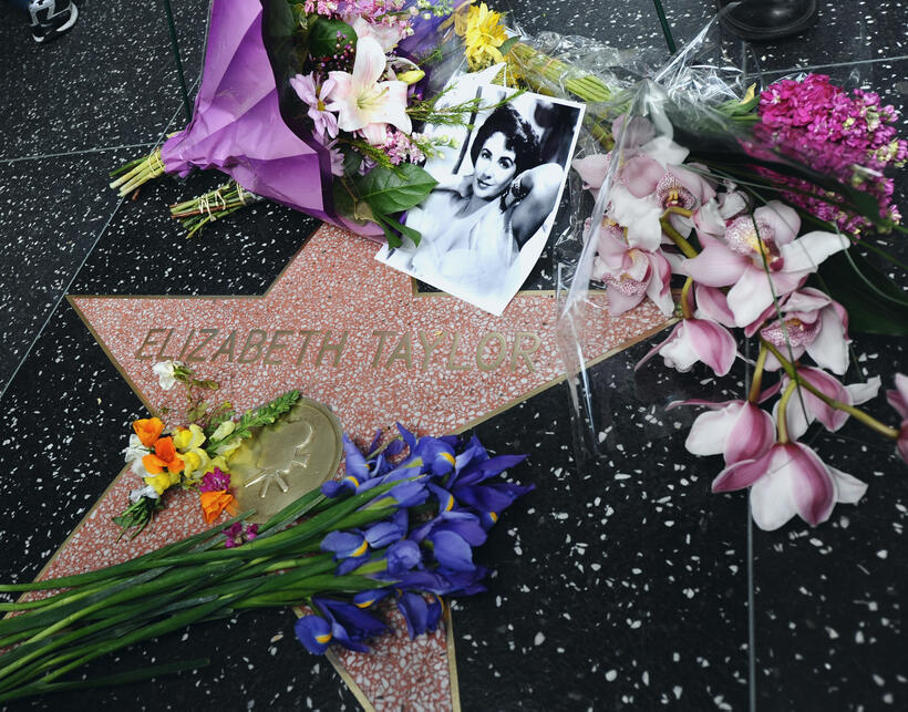 Liz Taylor: 10 Memorable Movie Roles