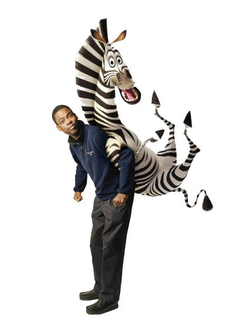
	Our Favorite Movie Star-Animated Animals
