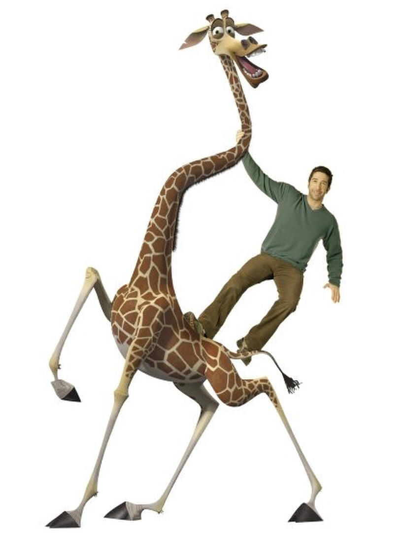 
	David Schwimmer as Melman
