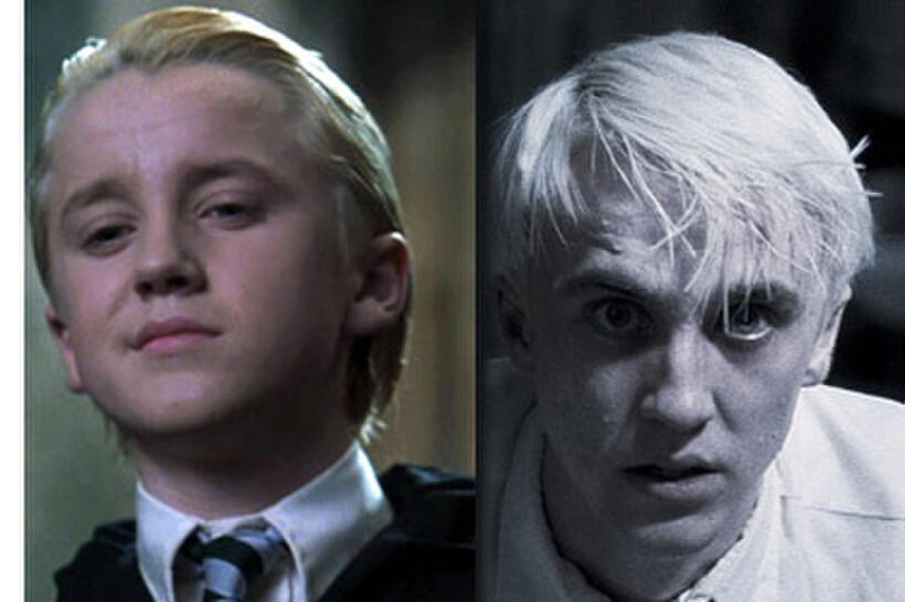 Harry Potter and the Gang: Where Are They Now?