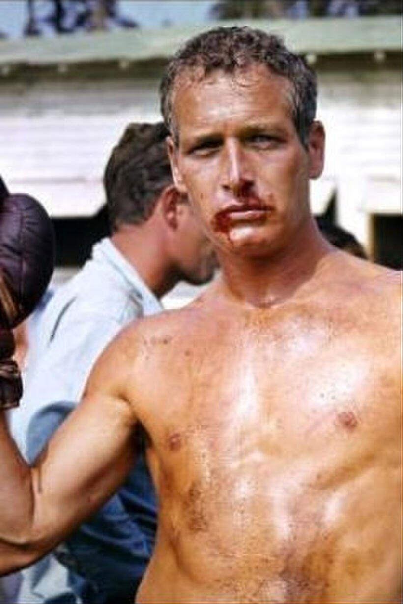 The Ultimate Movie Fighters