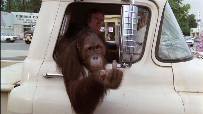 The Greatest Cinema Simians...Ever