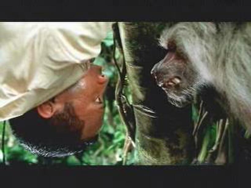 The Greatest Cinema Simians...Ever