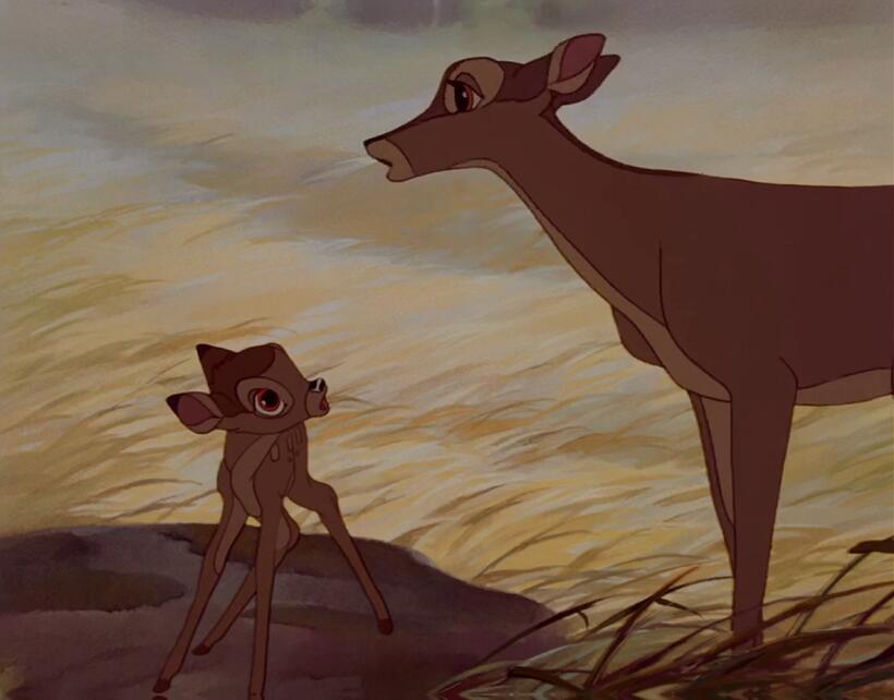 
	Bambi
