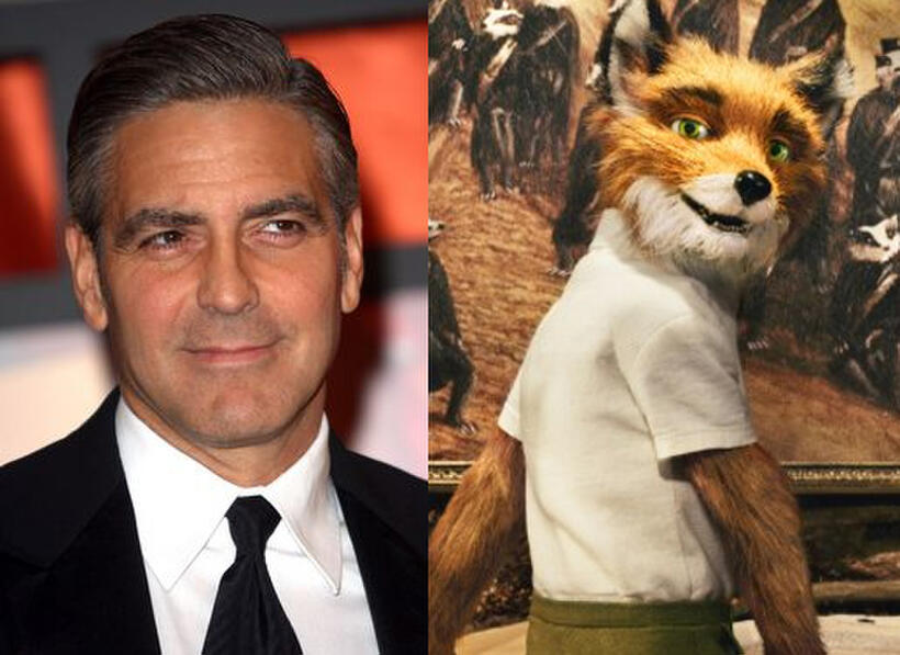 
	Our Favorite Movie Star-Animated Animals

