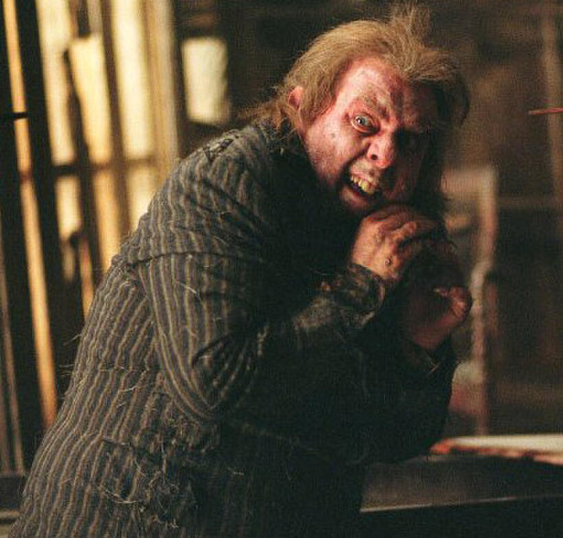 Top Harry Potter Villains and Heroes