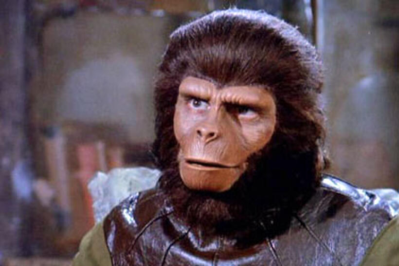 Armageddon Now! Our Favorite Post-Apocalyptic Movies