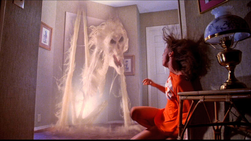 
	Poltergeist (1982)
