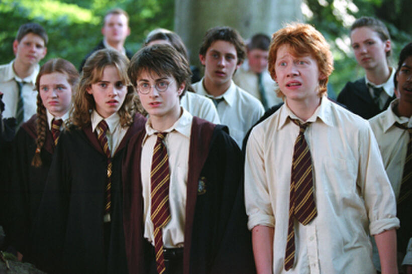 3. The Harry Potter Franchise
