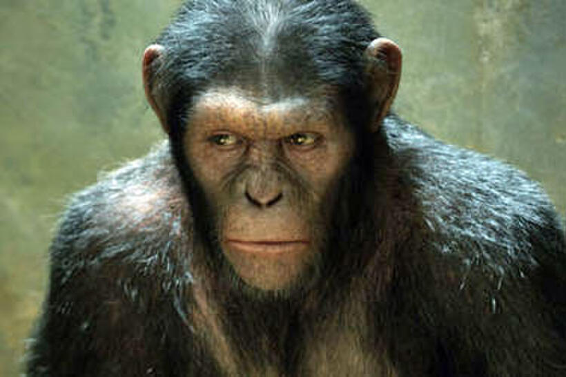 Summer Movies for Guys