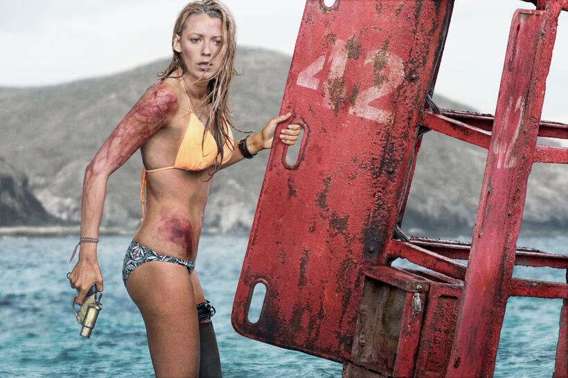 
	The Shallows
