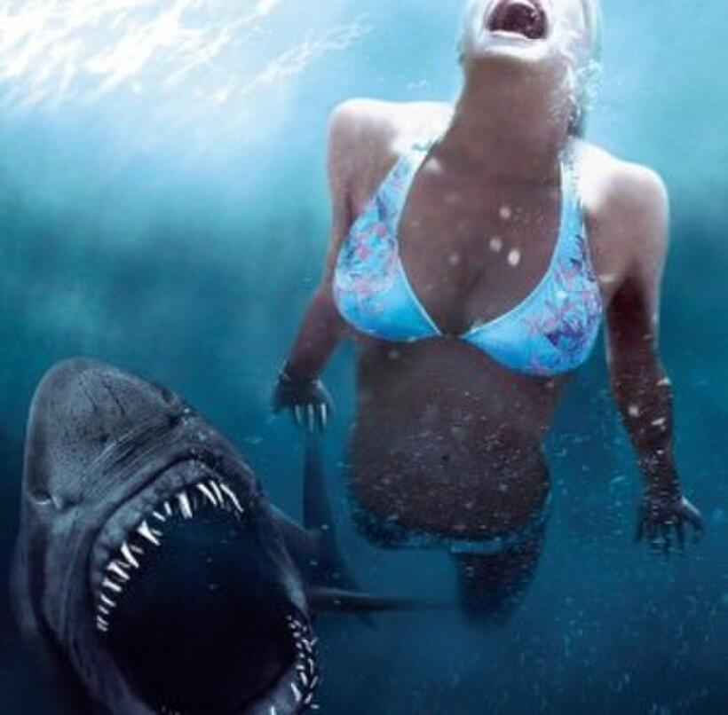 2011's Top 10 Movie Turkeys