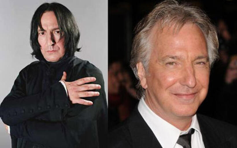 Harry Potter and the Gang: Where Are They Now?