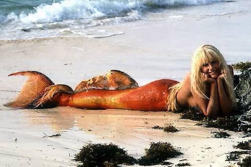 Best Fish Out of Water Comedies