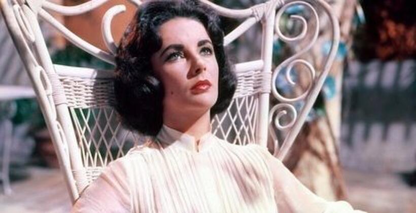 Suddenly, Last Summer