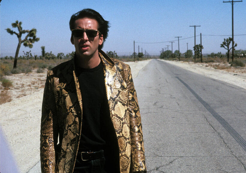 
	The Looks of Nicolas Cage
