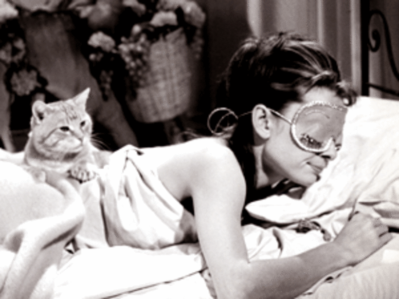 That’s Cat! Our 13 Favorite Film Felines