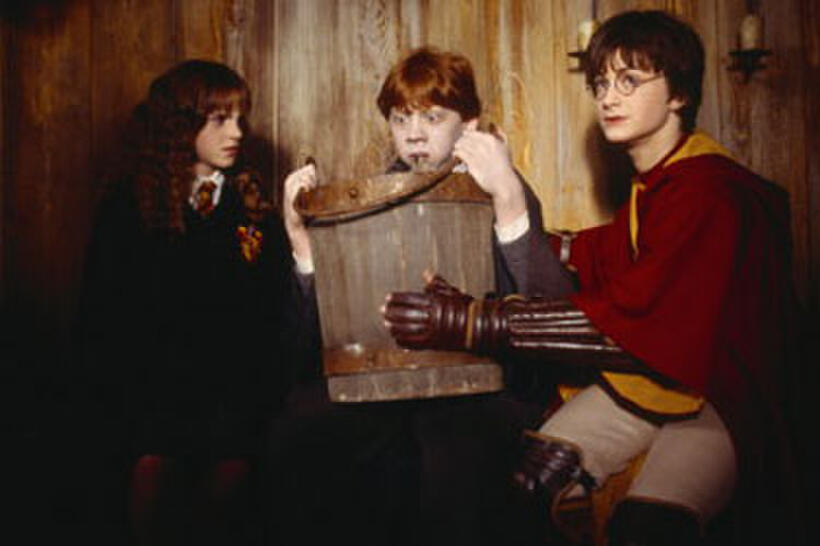  Harry Potter and the Chamber of Secrets