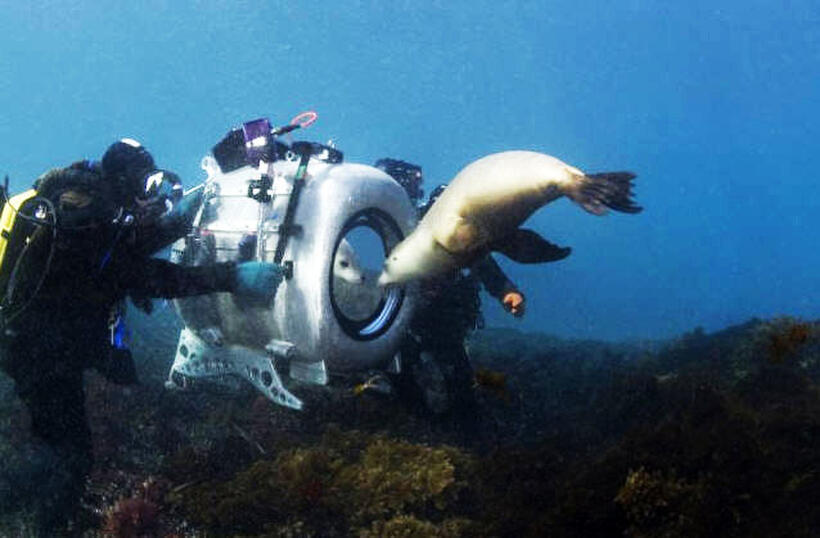 
	Under the Sea 3D (2009)
