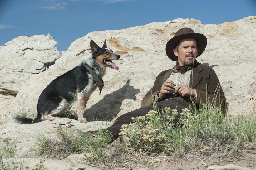 
	16 Indie Movies You Don't Want to Miss This Fall
