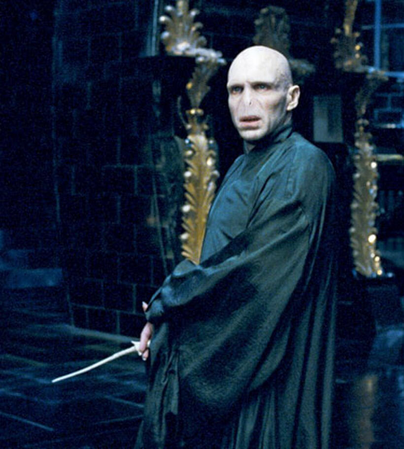 Ralph Fiennes as Lord Voldemort