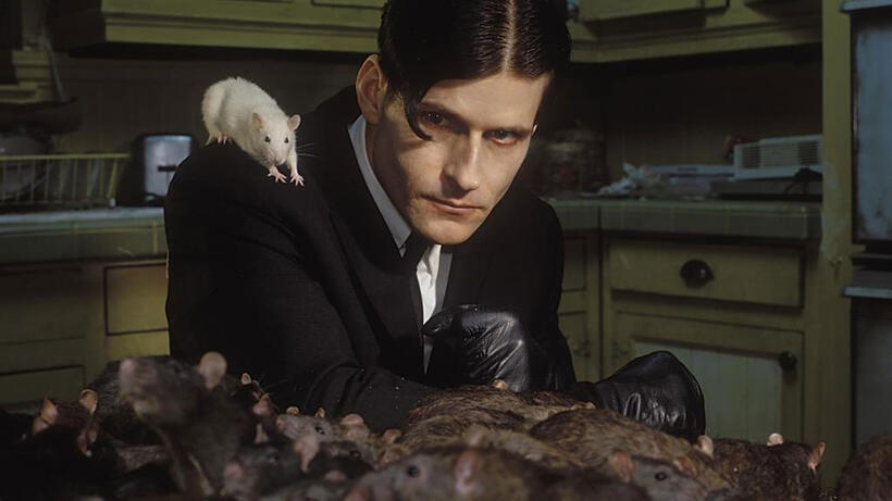 
	Willard
