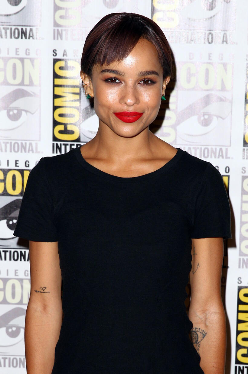 
	Comic-Con 2013: The Stars
