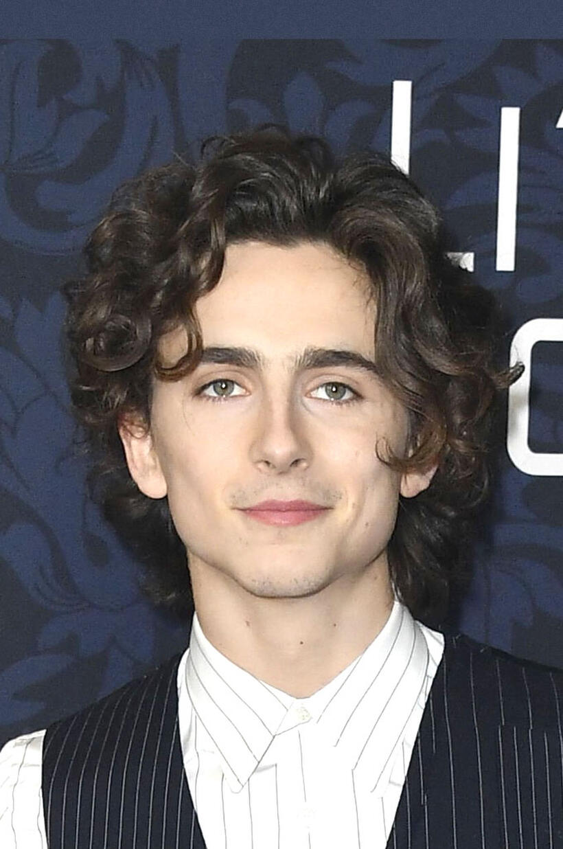 Timothee Chalamet at the "Little Women" premiere in New York City.