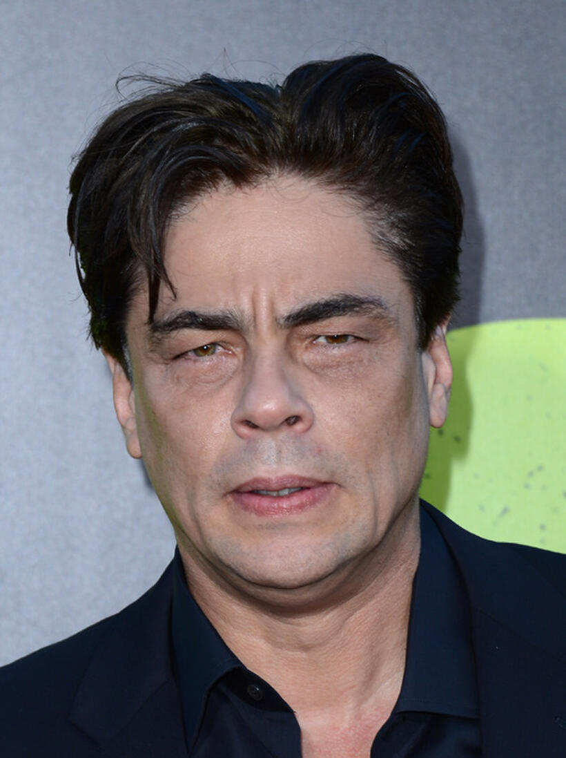 Benicio Del Toro at the California premiere of "Savages."