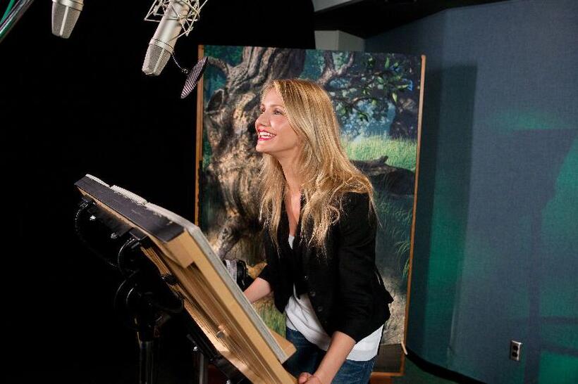 Cameron Diaz voices Fiona in "Shrek Forever After."