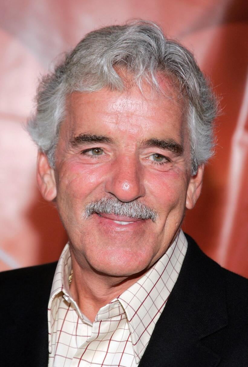 Dennis Farina at the NBC TCA all - star party.