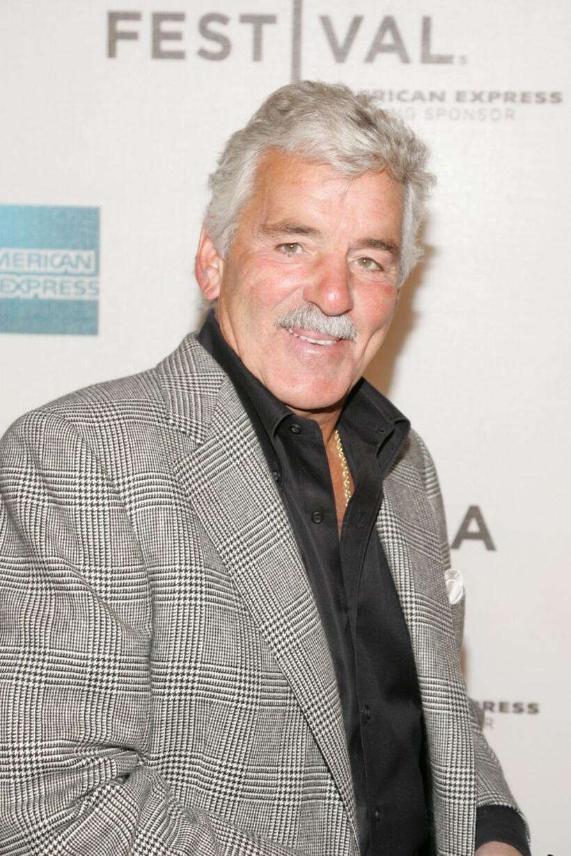 Dennis Farina at the premiere of "Purple Violets" at the 2007 Tribeca Film Festival.