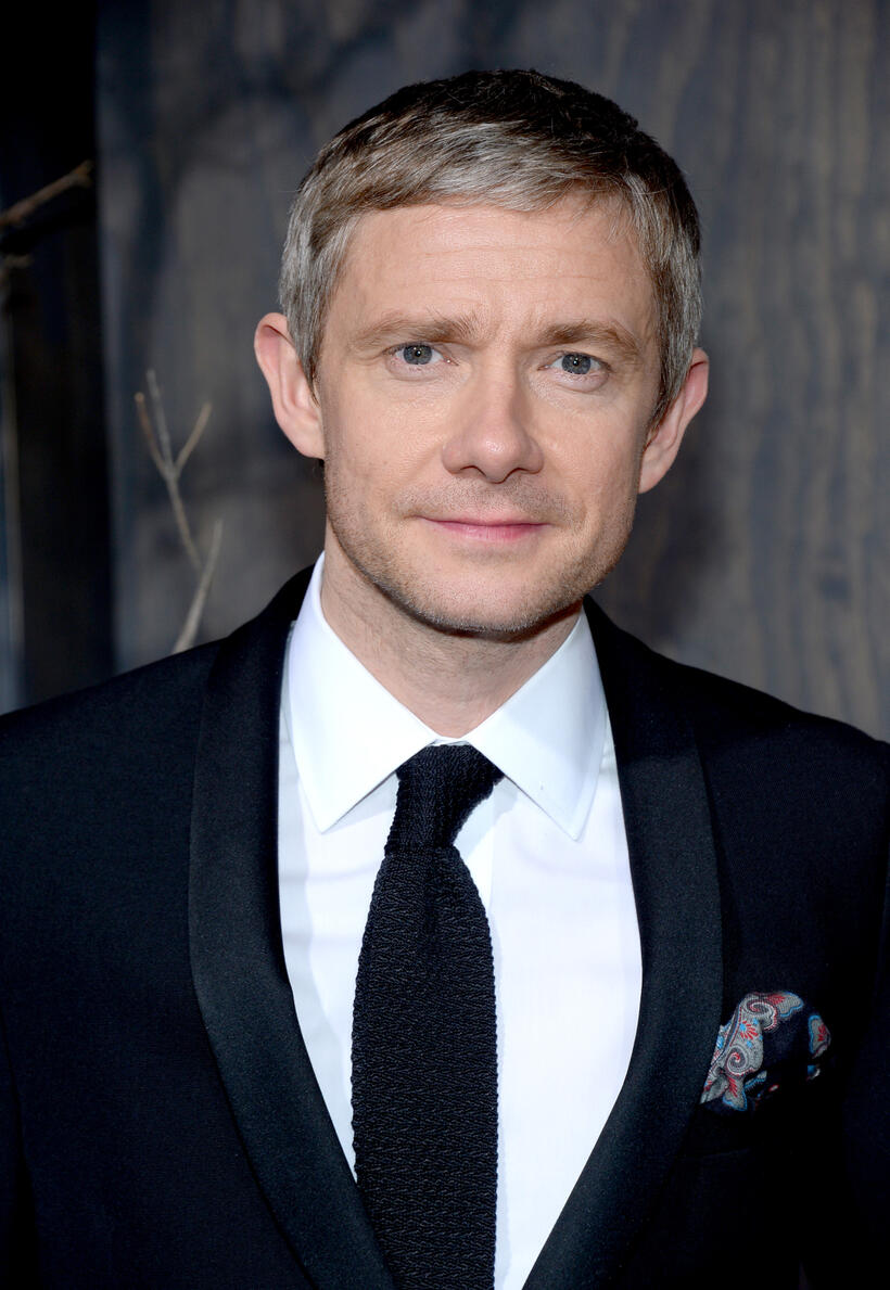 Martin Freeman at the California premiere of "The Hobbit: The Desolation of Smaug."