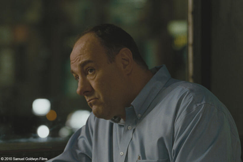 James Gandolfini as Doug in "Welcome to the Rileys."