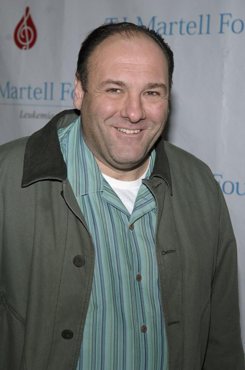 James Gandolfini at the TJ Martell Foundation 7th annual family day.