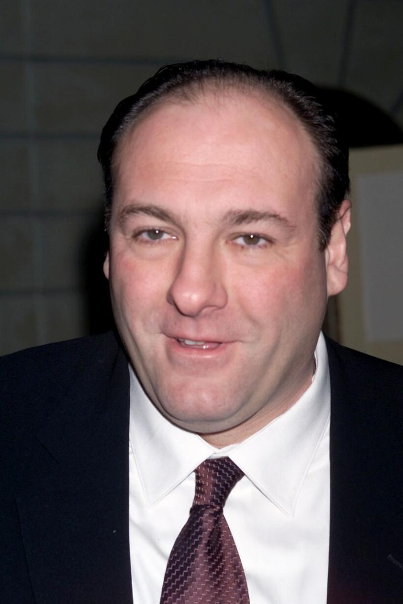 James Gandolfini at the Writers Guild Of America 54th Annual Awards.