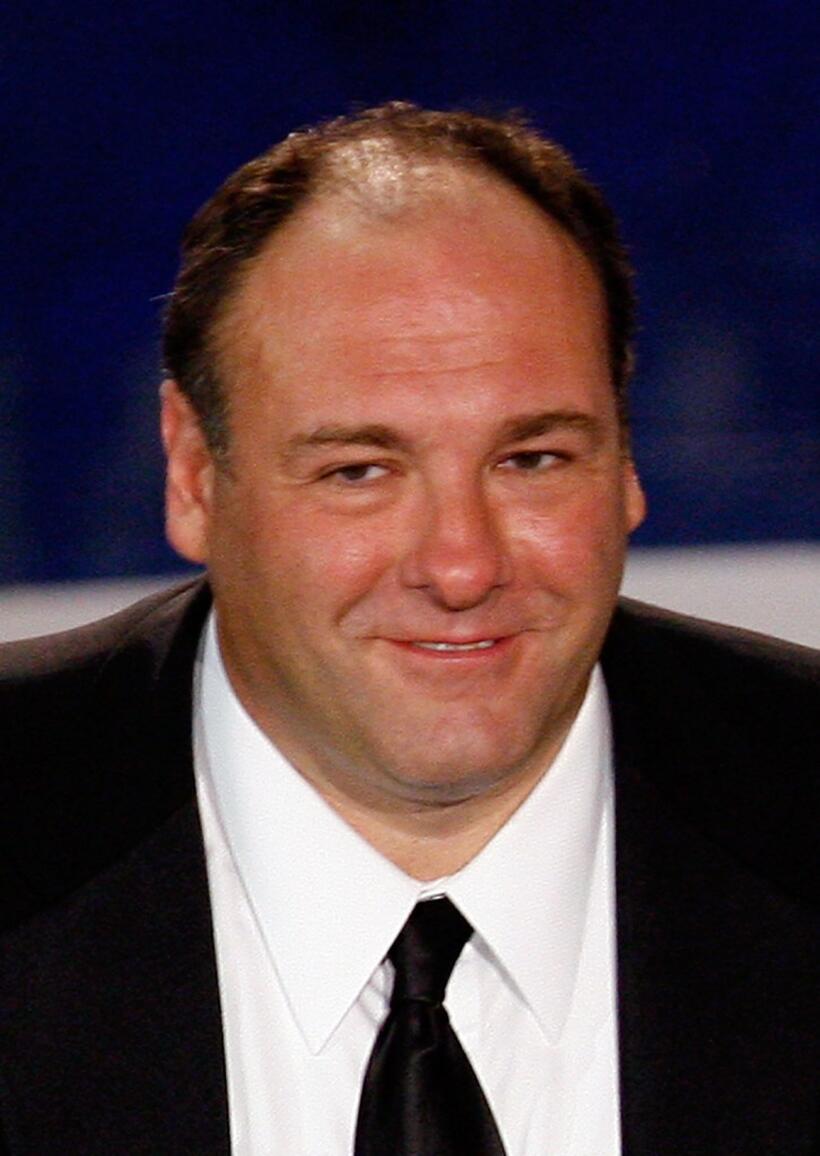 James Gandolfini at the 59th Annual Primetime Emmy Awards.