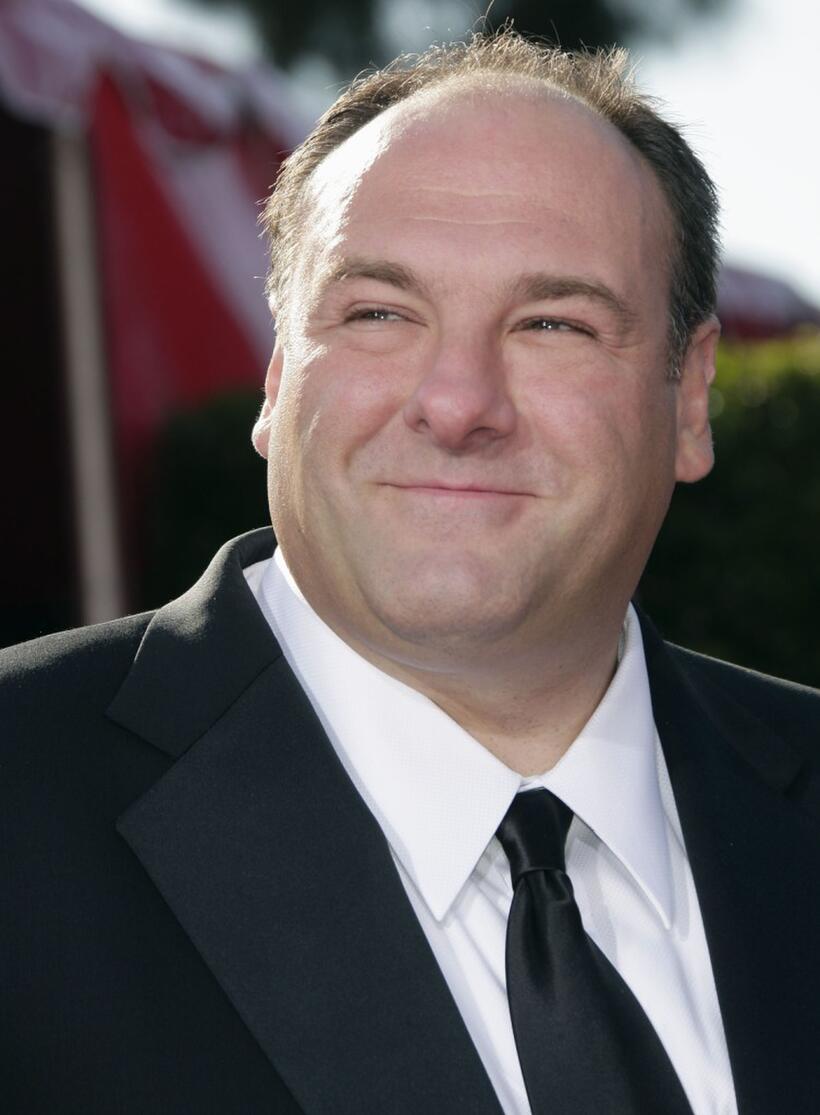 James Gandolfini at the 59th Annual Primetime Emmy Awards.