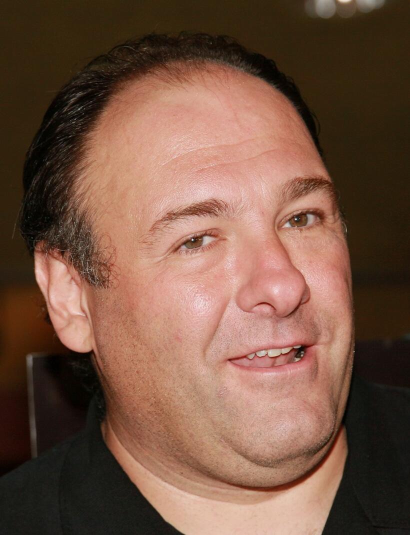 James Gandolfini at a screening of "Romance & Cigarettes".