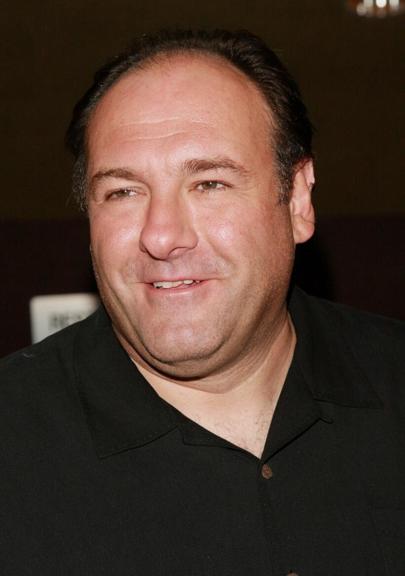 James Gandolfini at a screening of "Romance & Cigarettes".