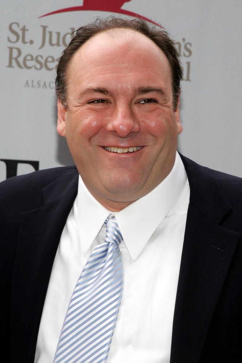 James Gandolfini at the St. Jude's Children's Research Hospital Benefit.